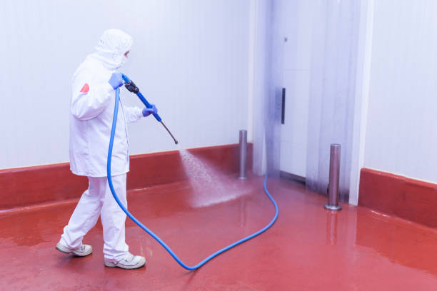 Best Patio and Deck Pressure Washing  in Walker Mill, MD